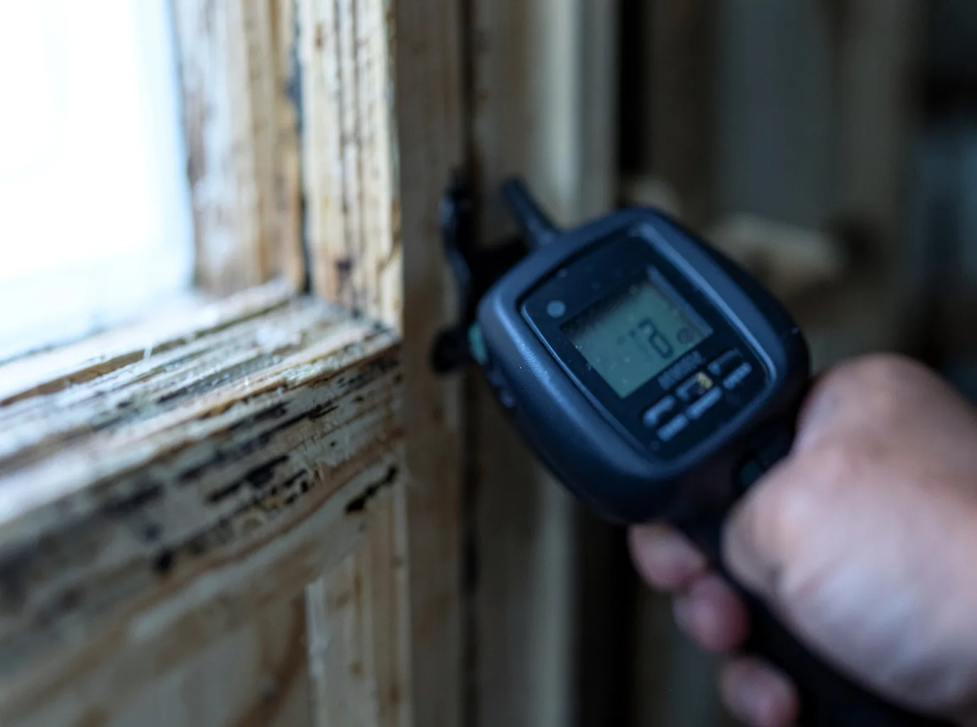 Moisture Inspection And Documentation in Ladd, IL